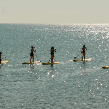 Stand up paddle