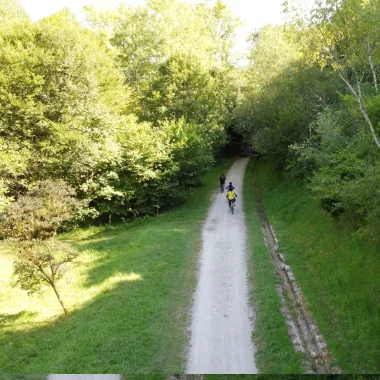 Electric mountain bikes