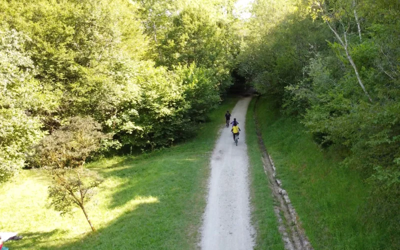 Electric mountain bikes